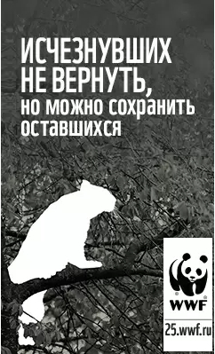 WWF Russia. 